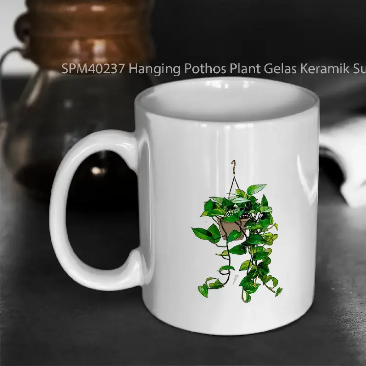 SPM40237 Hanging Pothos Plant Gelas Keramik Supermug
