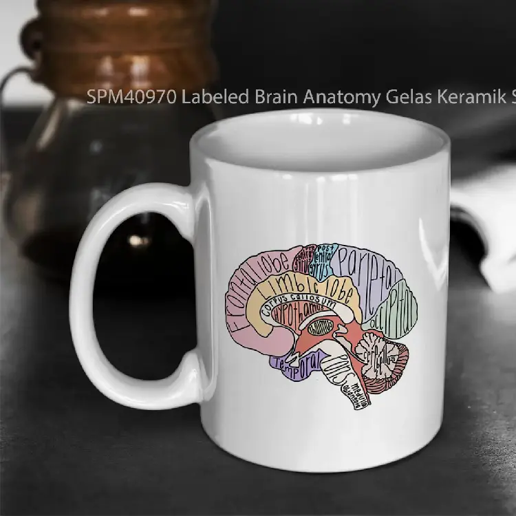 SPM40970 Labeled Brain Anatomy Gelas Keramik Supermug