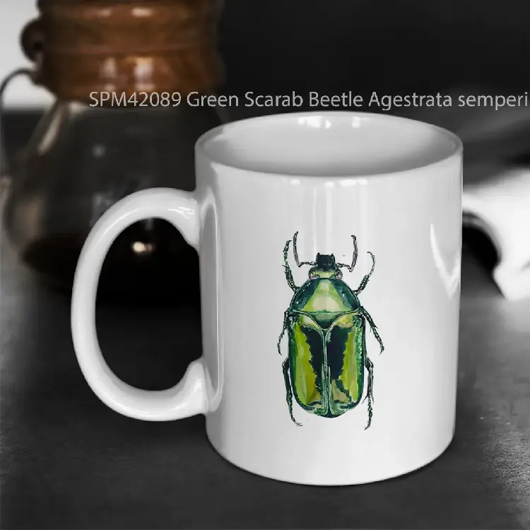 SPM42089 Green Scarab Beetle Agestrata semperi female Gelas Keramik Supermug