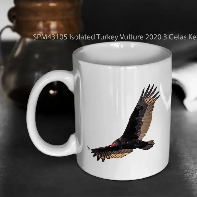 SPM43105 Isolated Turkey Vulture 2020 3 Gelas Keramik Supermug