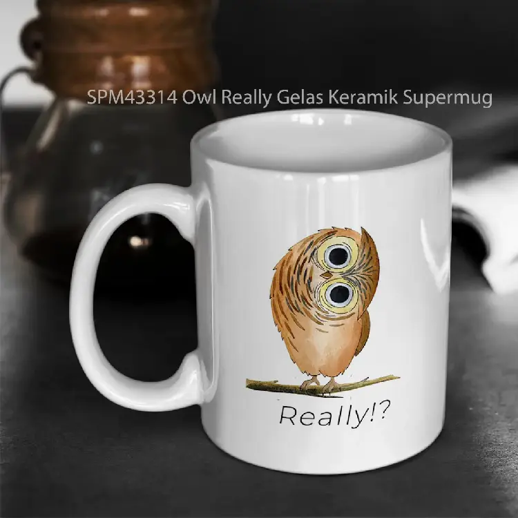 SPM43314 Owl Really Gelas Keramik Supermug