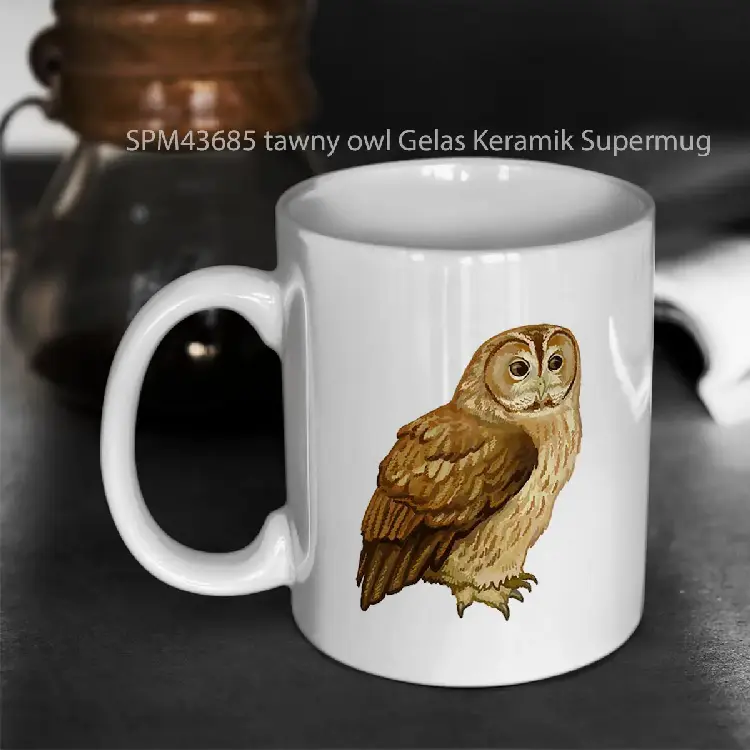 SPM43685 tawny owl Gelas Keramik Supermug