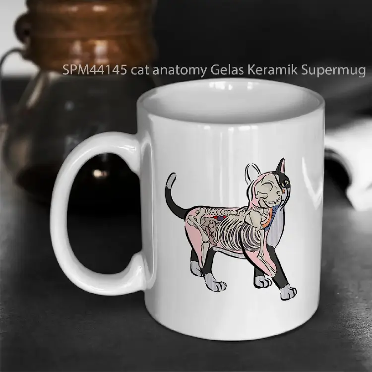SPM44145 cat anatomy Gelas Keramik Supermug
