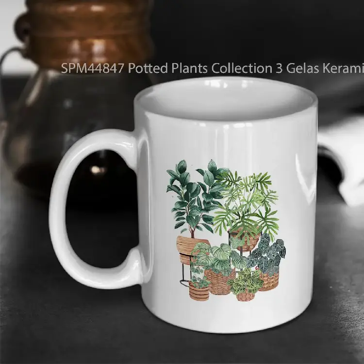 SPM44847 Potted Plants Collection 3 Gelas Keramik Supermug