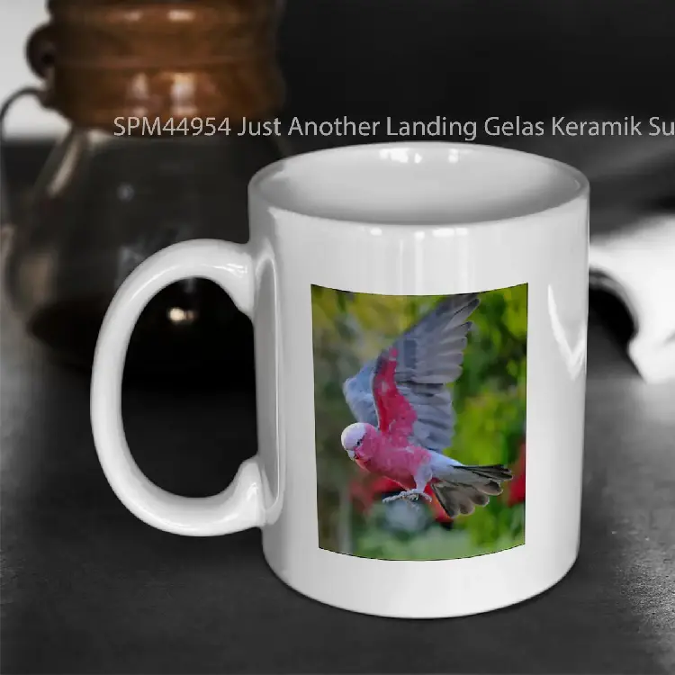 SPM44954 Just Another Landing Gelas Keramik Supermug