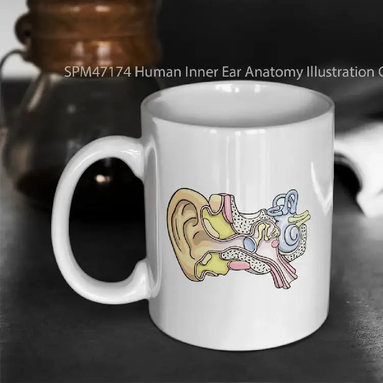 SPM47174 Human Inner Ear Anatomy Illustration Gelas Keramik Supermug