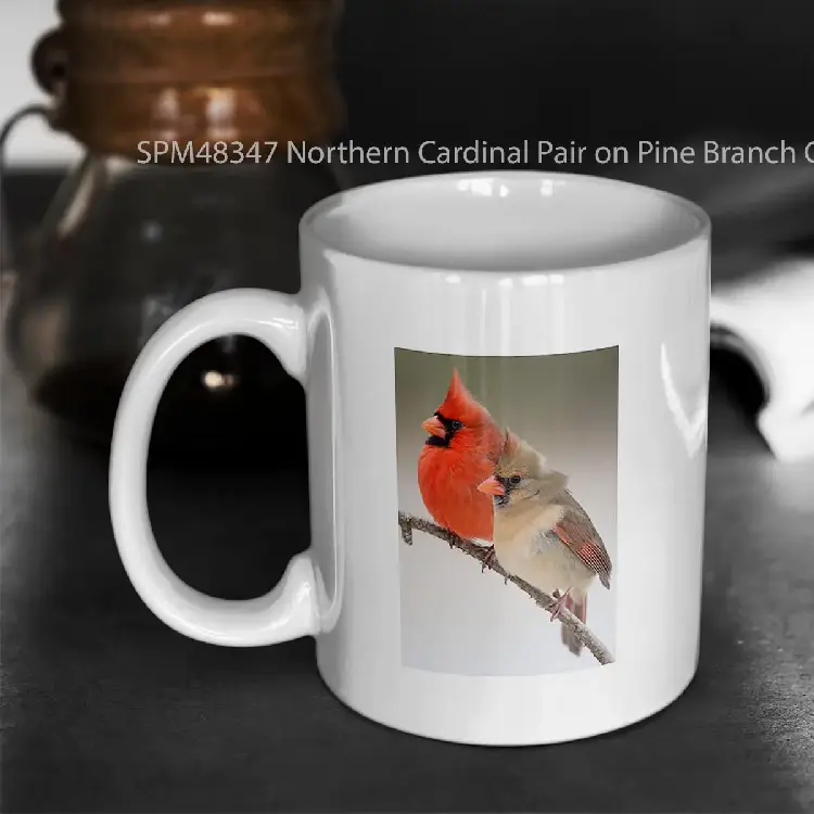 SPM48347 Northern Cardinal Pair on Pine Branch Gelas Keramik Supermug