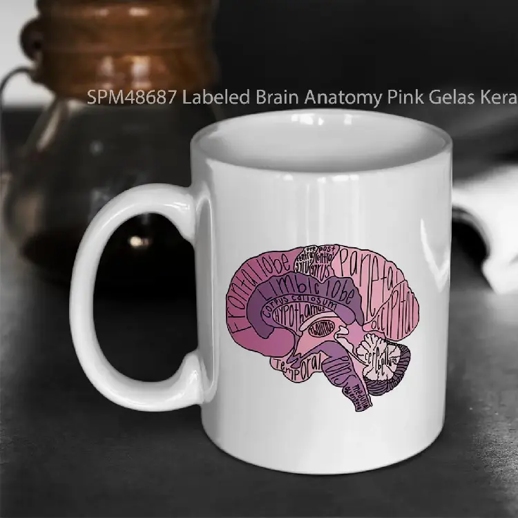 SPM48687 Labeled Brain Anatomy Pink Gelas Keramik Supermug