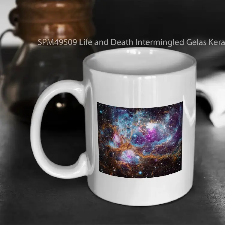 SPM49509 Life and Death Intermingled Gelas Keramik Supermug