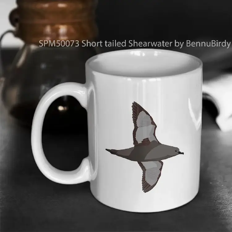 SPM50073 Short tailed Shearwater by BennuBirdy Gelas Keramik Supermug
