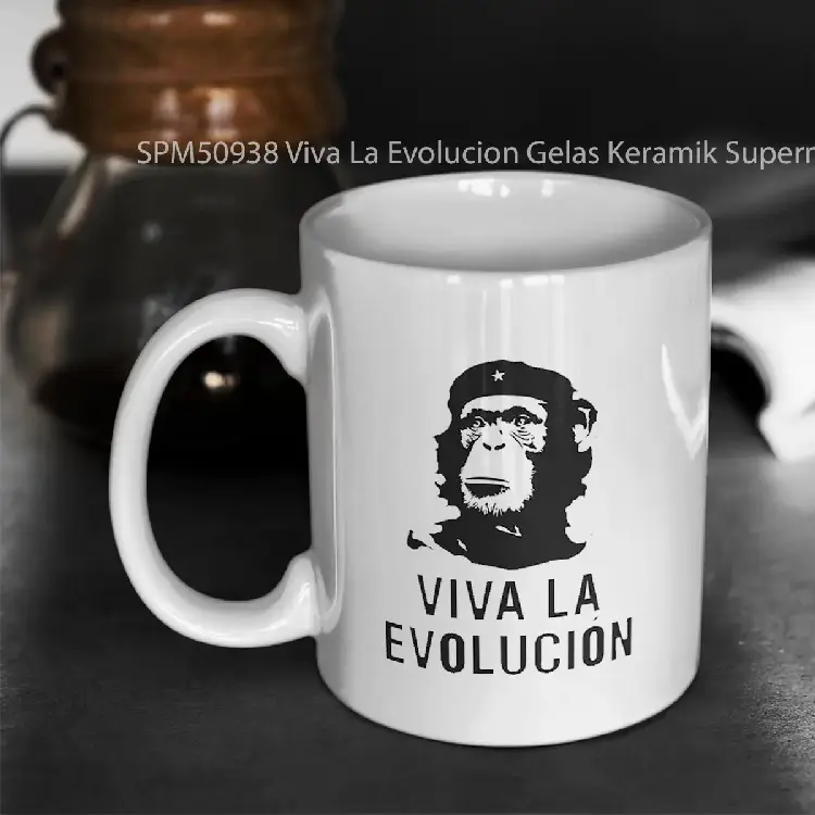 SPM50938 Viva La Evolucion Gelas Keramik Supermug