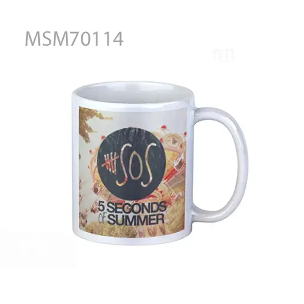 5sos Park Super Mug