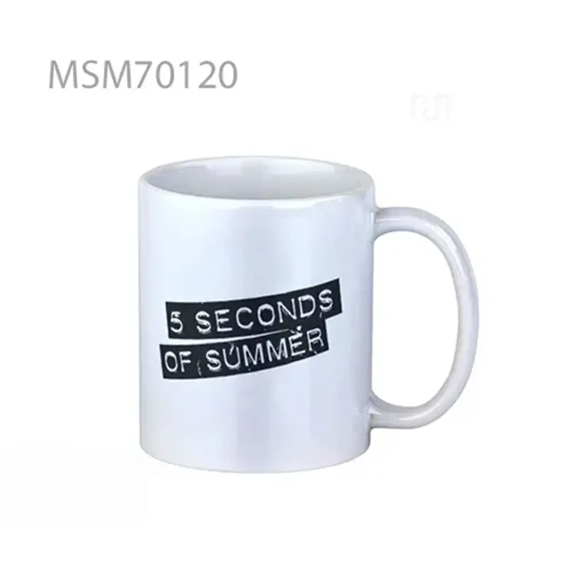 5sos Plat Super Mug