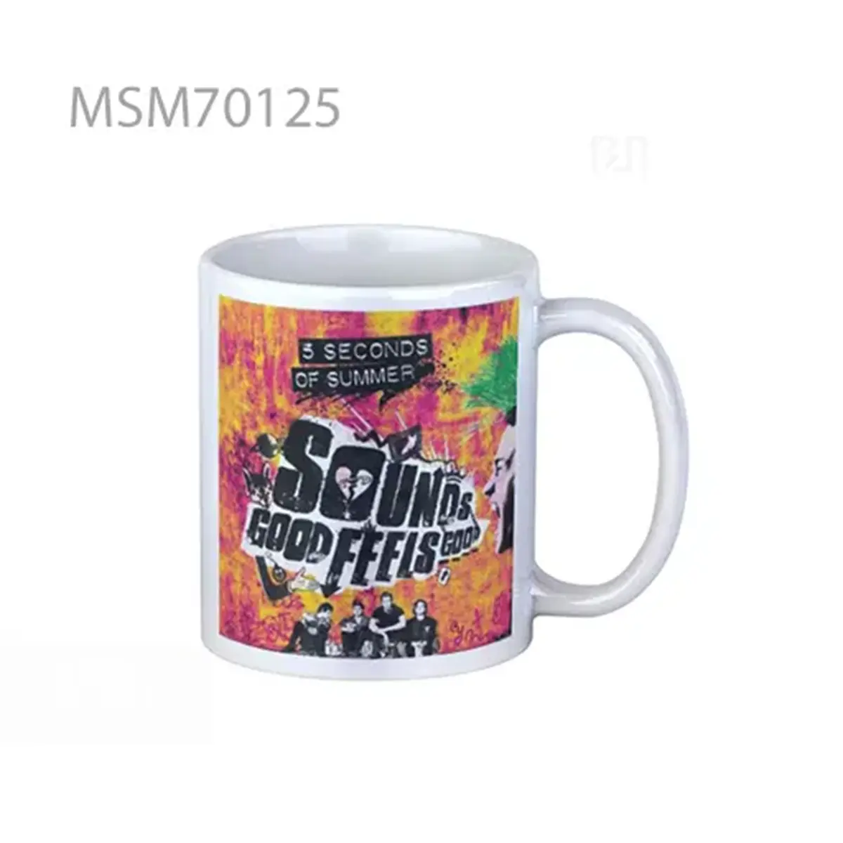 5sos SGFG Super Mug