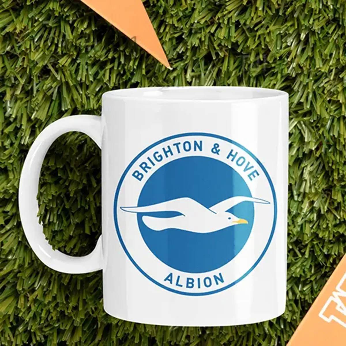 Brighton & Hove Albion Mug