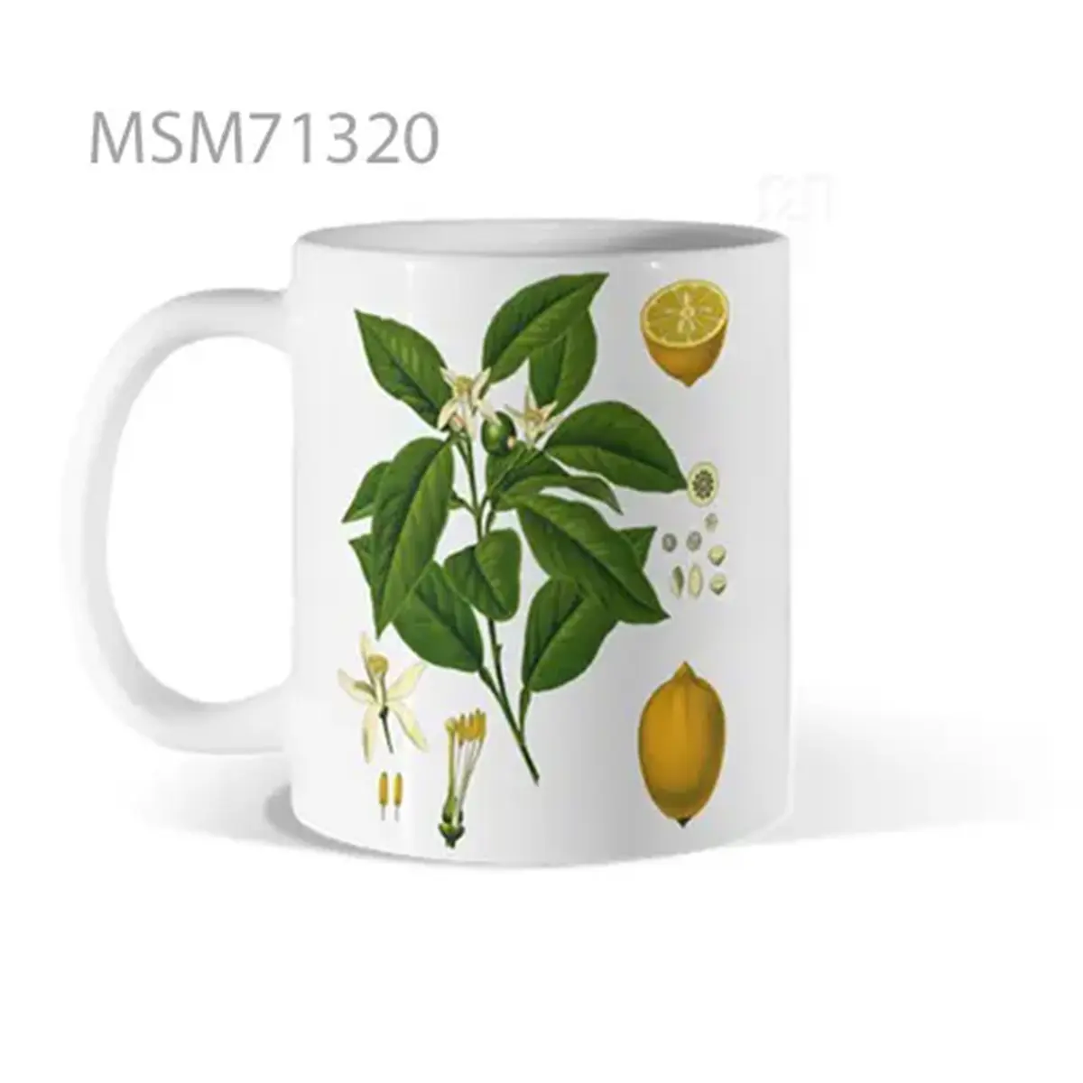 Lemon Plant Illustration Mug